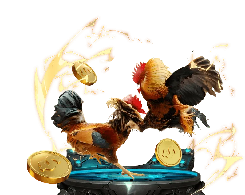 Hoàn trả cược thể thao hàng tuần pg99 bet